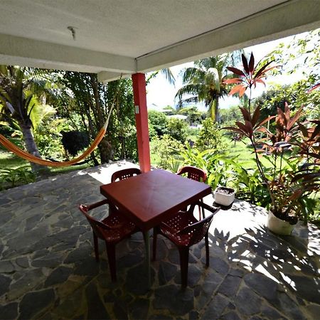 Windy View Guest House Archibolds 外观 照片