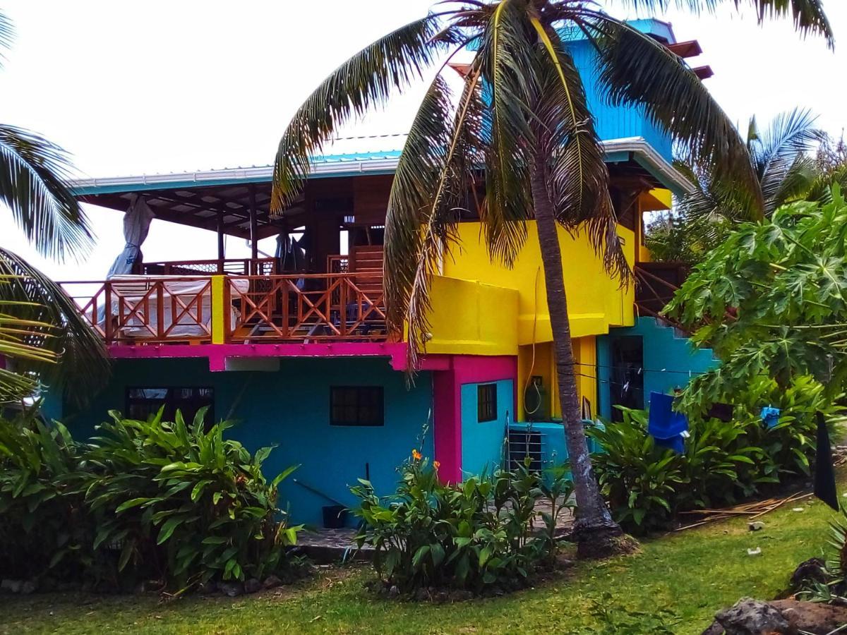 Windy View Guest House Archibolds 外观 照片