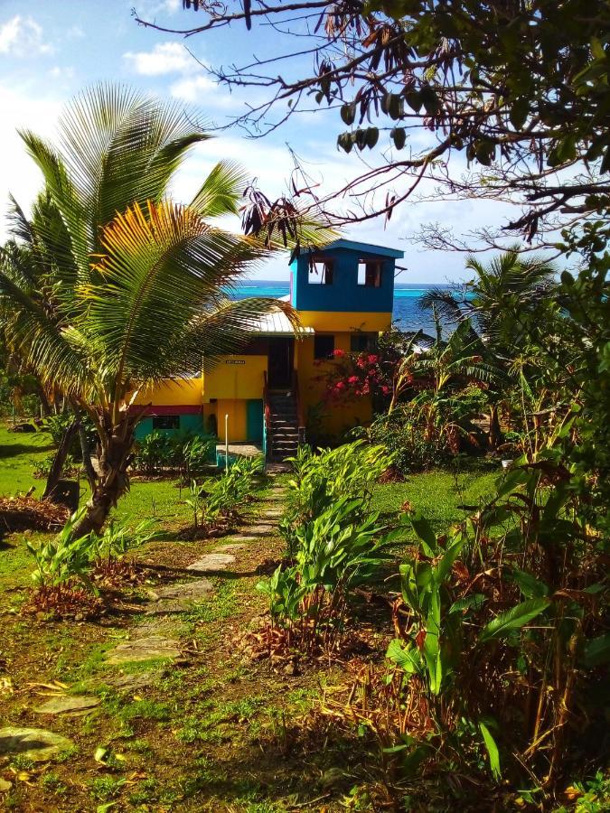 Windy View Guest House Archibolds 外观 照片