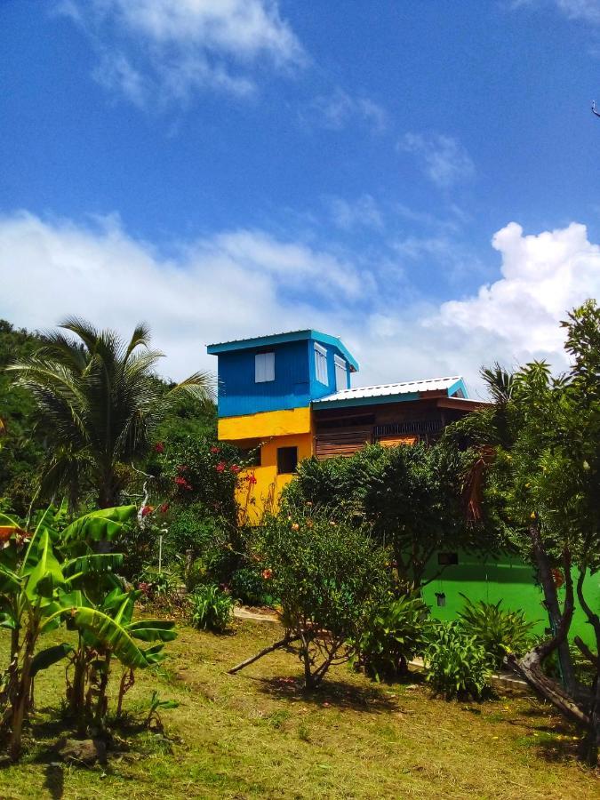 Windy View Guest House Archibolds 外观 照片