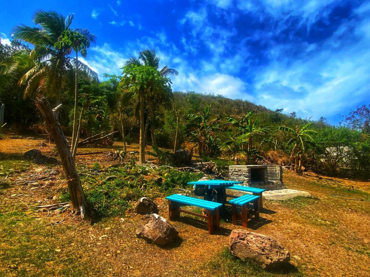 Windy View Guest House Archibolds 外观 照片