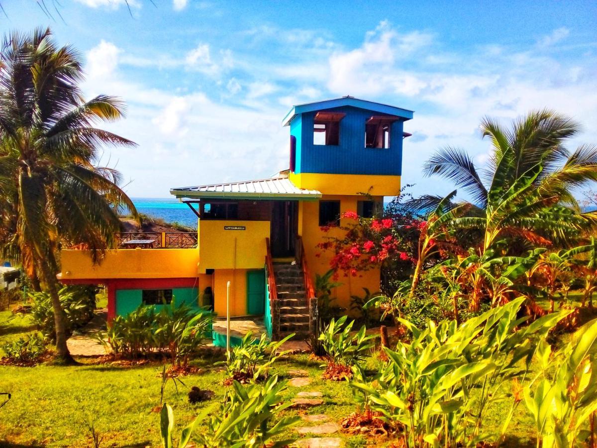 Windy View Guest House Archibolds 外观 照片