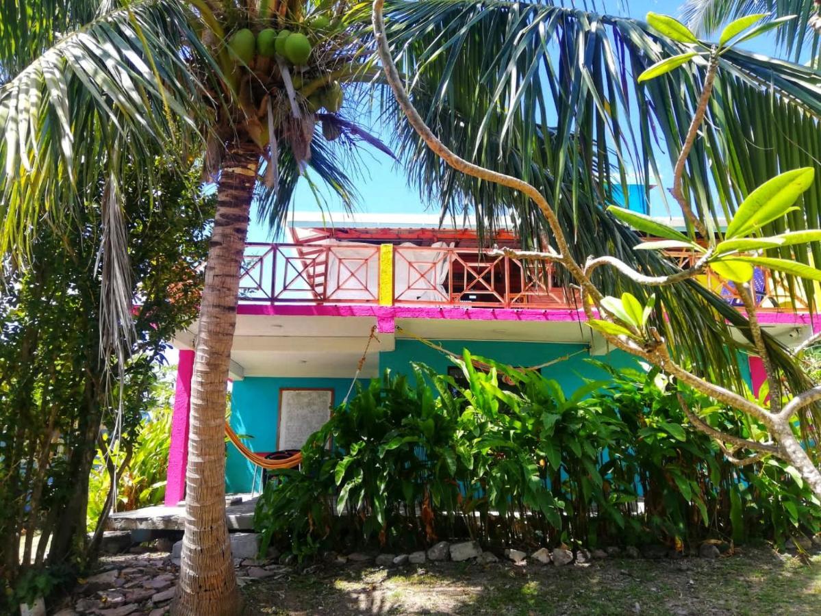 Windy View Guest House Archibolds 外观 照片