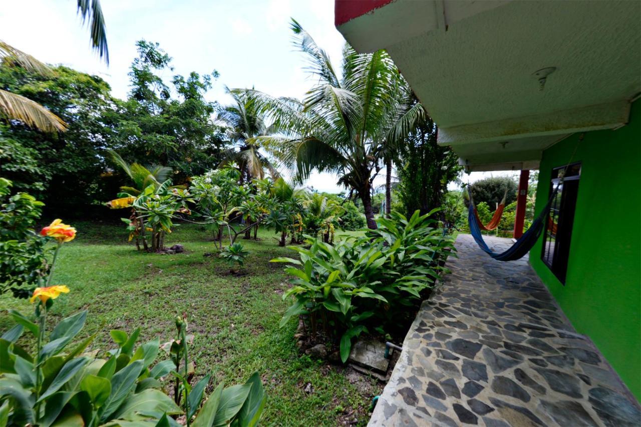 Windy View Guest House Archibolds 外观 照片