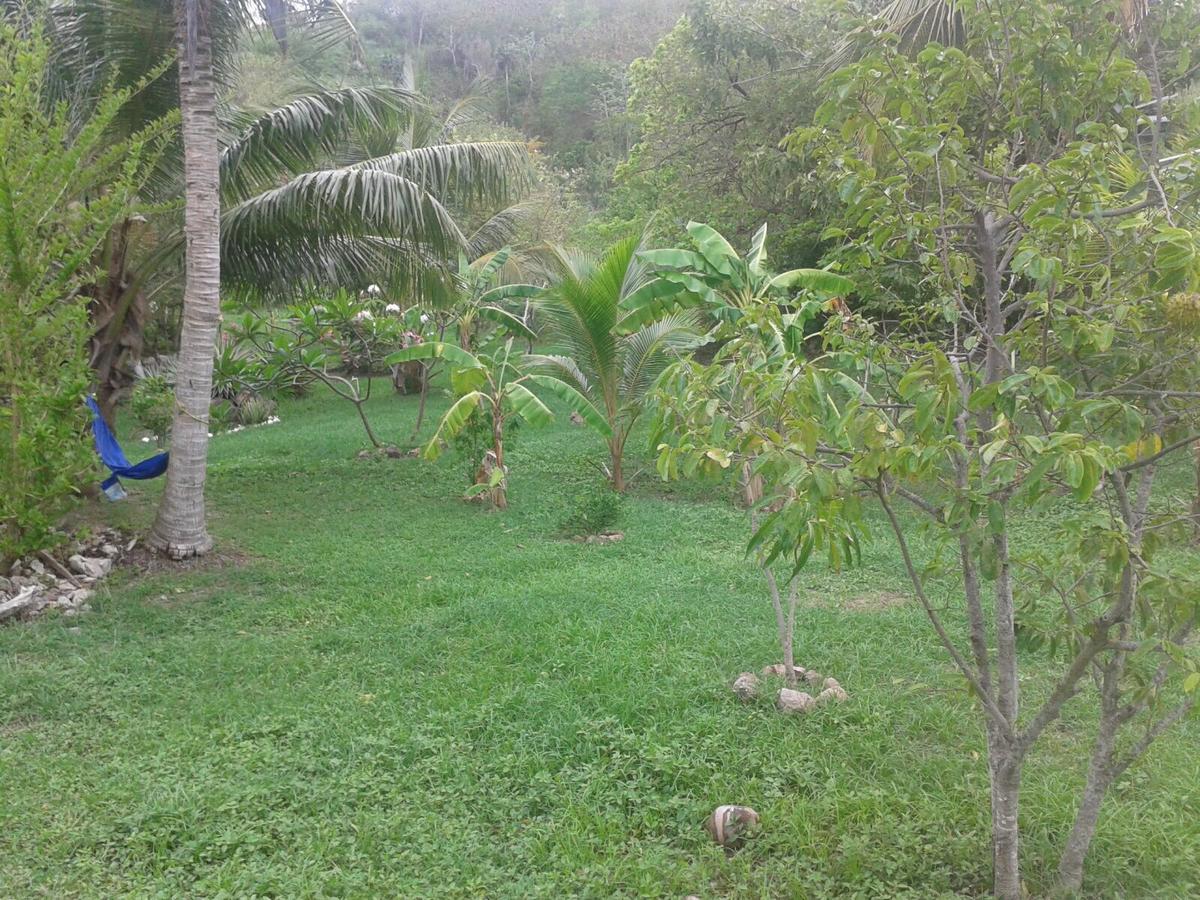 Windy View Guest House Archibolds 外观 照片