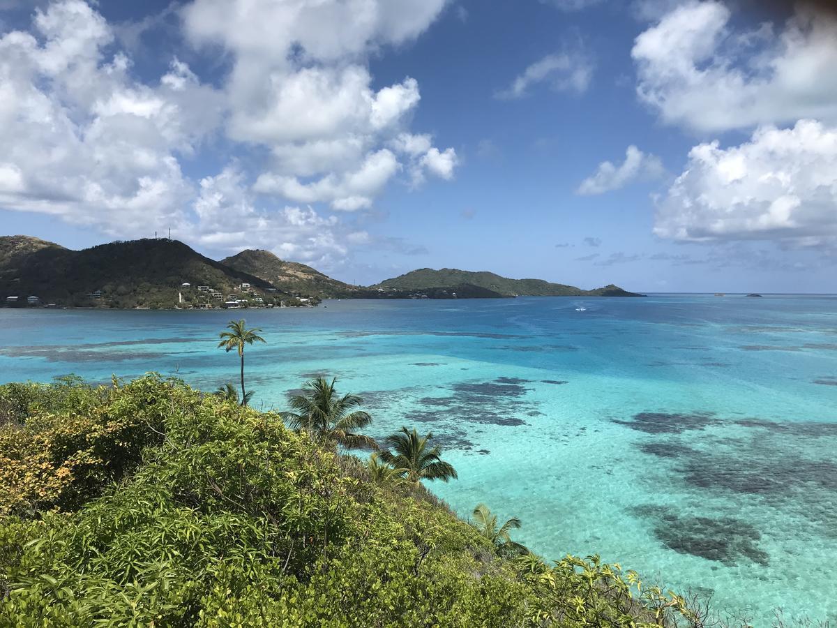 Windy View Guest House Archibolds 外观 照片
