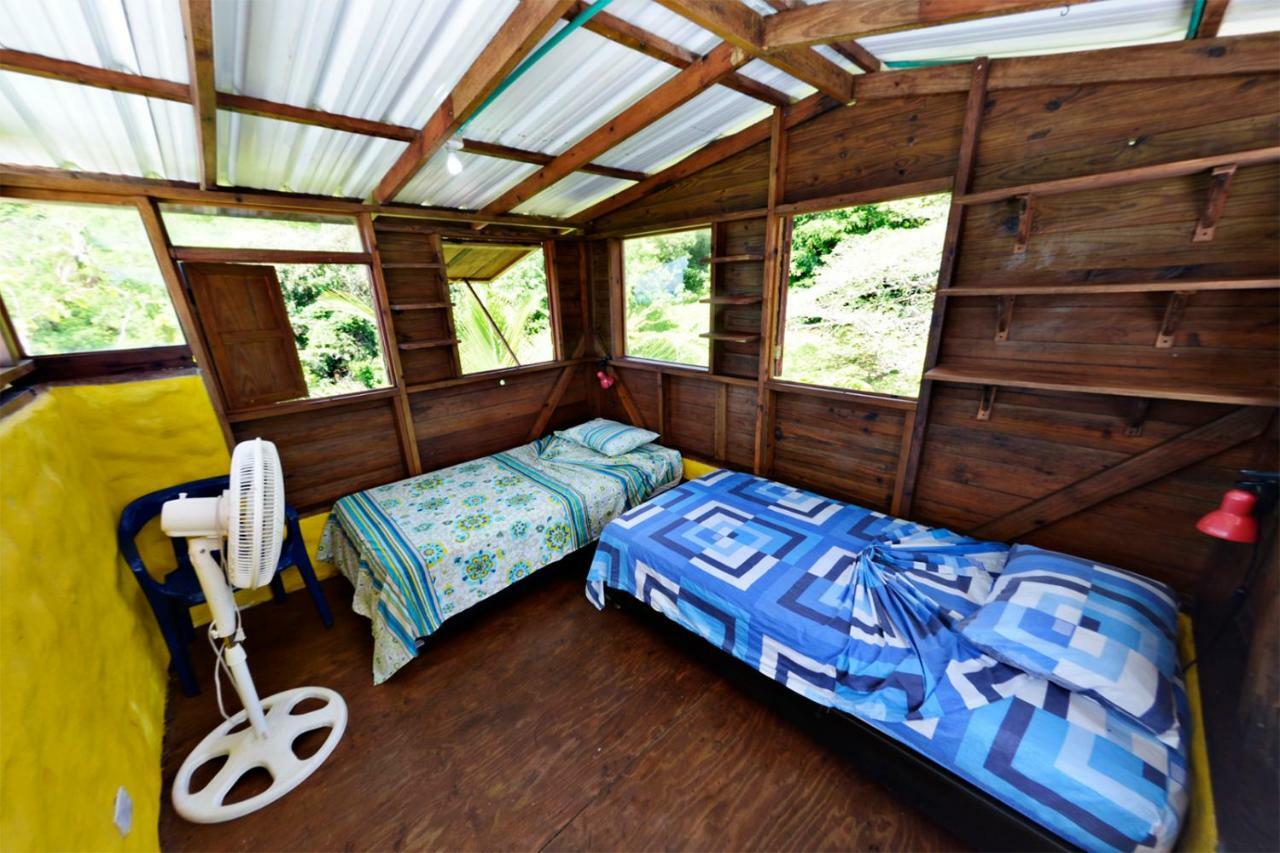 Windy View Guest House Archibolds 外观 照片