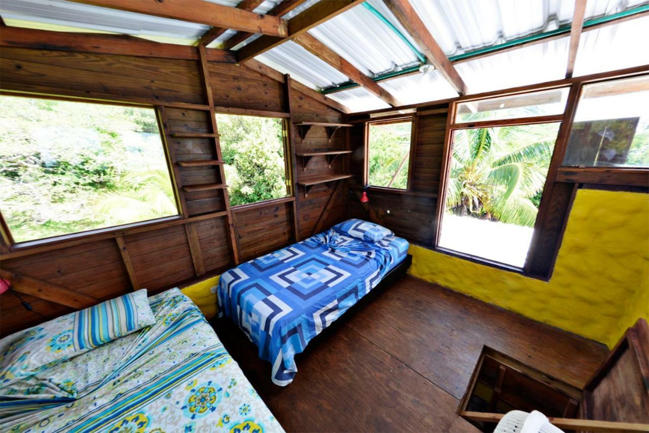 Windy View Guest House Archibolds 外观 照片